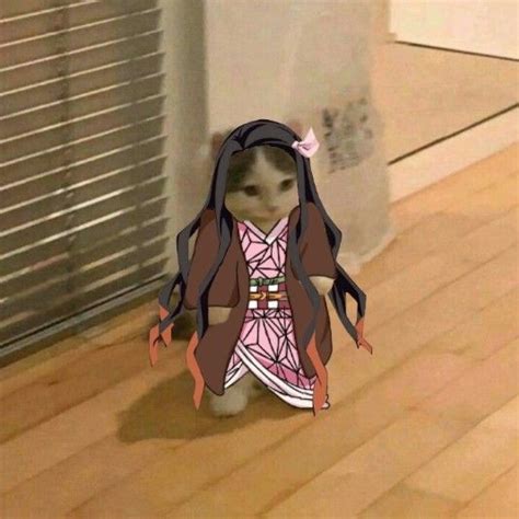 The Best 9 Pfp Naruto Standing Cat Meme - repourxyzesz