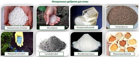 Минеральные удобрения для почвы и их характеристики