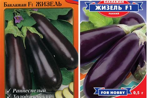 Баклажан Жизель: описание сорта, фото, отзывы, характеристика ...