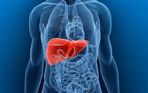 Causes, Treatments and Home Remedies For Liver Swelling