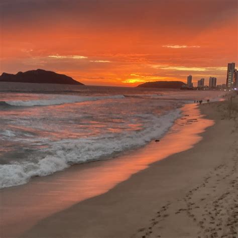 Paralelo 23 - #Observatorio El que por su gusto es buey... Por Mario