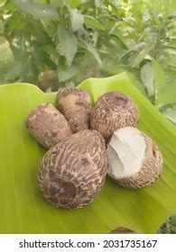 how long to boil taro