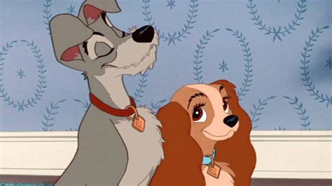 Cachorrinho Da Dama E O Vagabundo