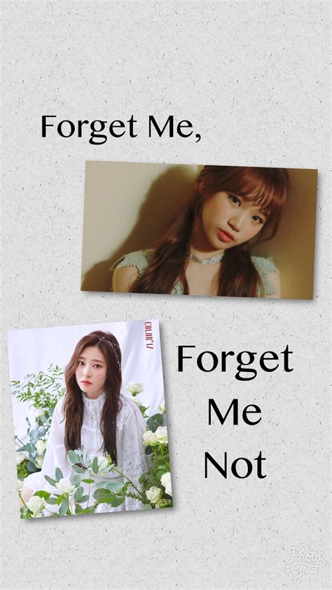 Not Forget Me 1