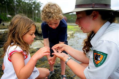 discovery ranger applications open tasmanian times