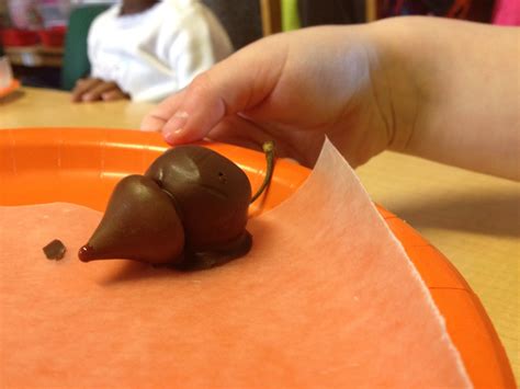 13 Mole day food projects ideas | mole day, mole idea, mole treats