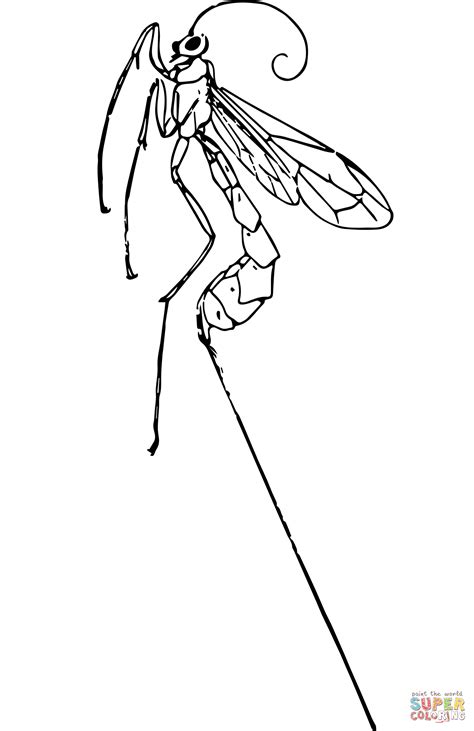 Vintage ichneumonfly värityskuva