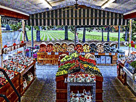 Country Farm Store Free Stock Photo - Public Domain Pictures