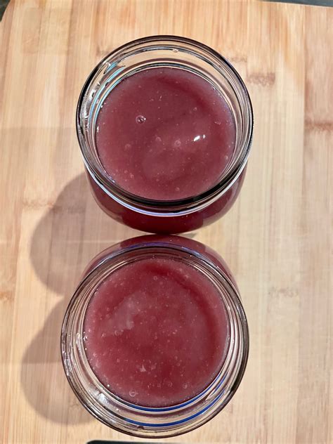 2 16oz BUNDLE Organic Premium Purple Sea Moss Gels | BBglow Sea Moss By