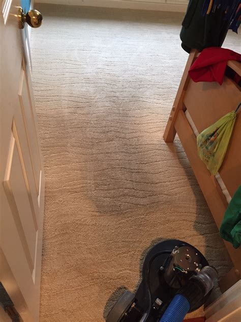 Mytee Trex | The Cleaning Standard