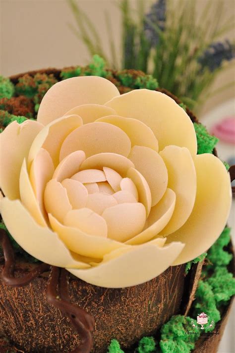 Chocolate decor, chocolate flowers, candy - Decorated - CakesDecor