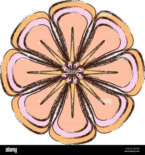 flower vector illustration Stock Vector Image & Art - Alamy