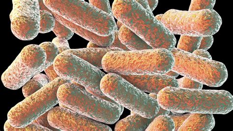 researchers warn   superbug onslaught urmianet