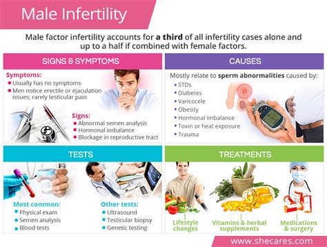 Male Infertility | SheCares