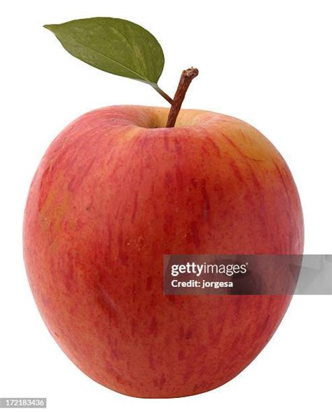 largest apple stock  high res pictures  images