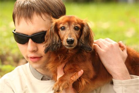 Guide Dog Rules