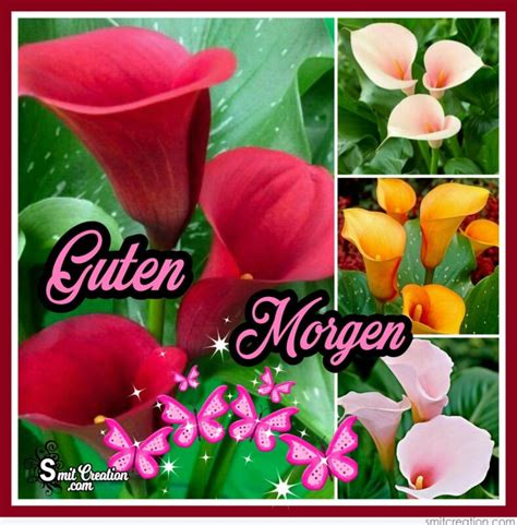 Good Morning – Guten Morgen - SmitCreation.com