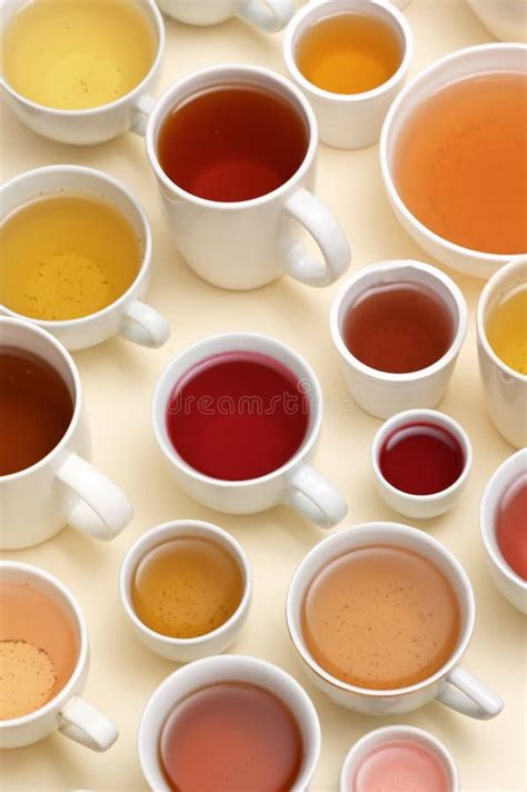 types  tea stock photo image  herbal
