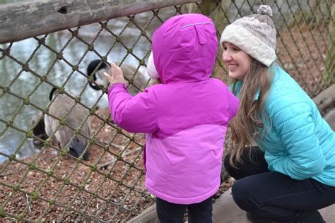 Knoxnews obituaries show the deep roots of local tennessee families 23