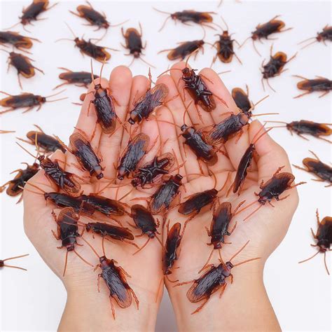 Buy Pretty Realistic 50PCS Fake Roaches, Fake Cockroaches Wirrabilla