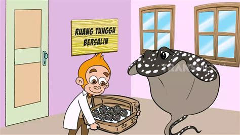 otan kekuatan  air tawar  part  youtube