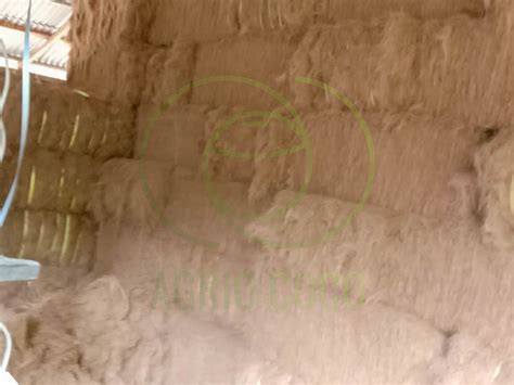 coconut fiber indonesia supplier agrio coco