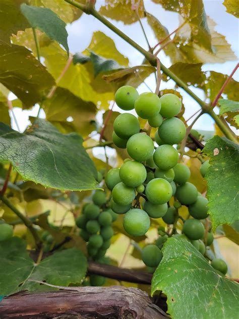 Jennifer Lyn Photography