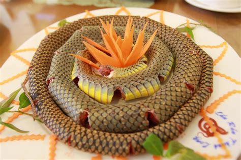 Would you brave enough to try this little snake dish? | Ẩm thực, Thịt, Rắn