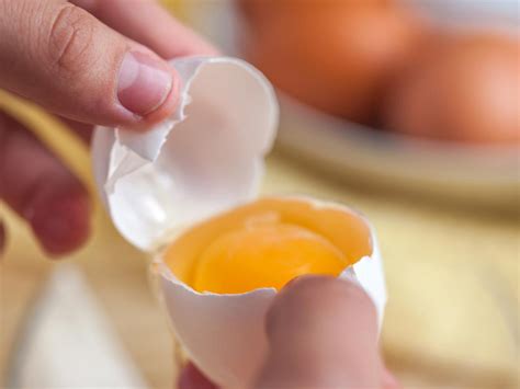Define Egg Yolk at Brittany Duran blog