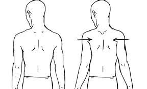 Posture Correction for Preventing Back Pain - NitishPhysio.com ...