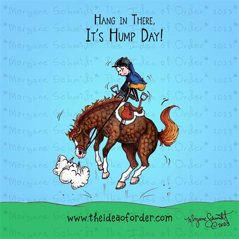 The Idea of Order: Hump Day! | HORSE NATION