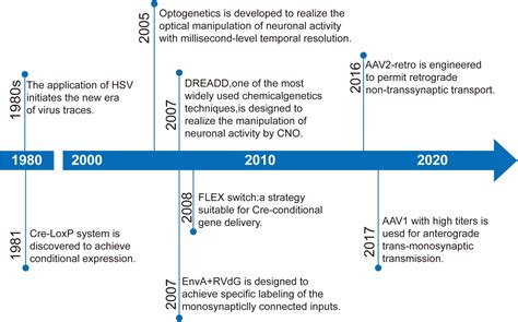 The DemiBleu Leak: A Timeline Of Events - Truth or Fiction
