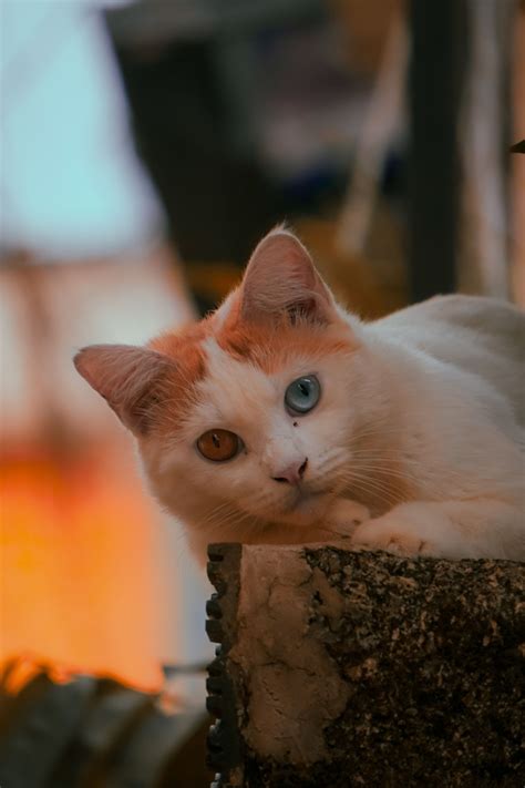 Sony a6400 sample photo - K4VKEpf6nE - ExploreCams