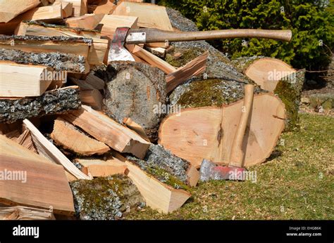 wooden hardwood firewood stock photo alamy