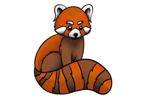 Drawings Of Red Pandas