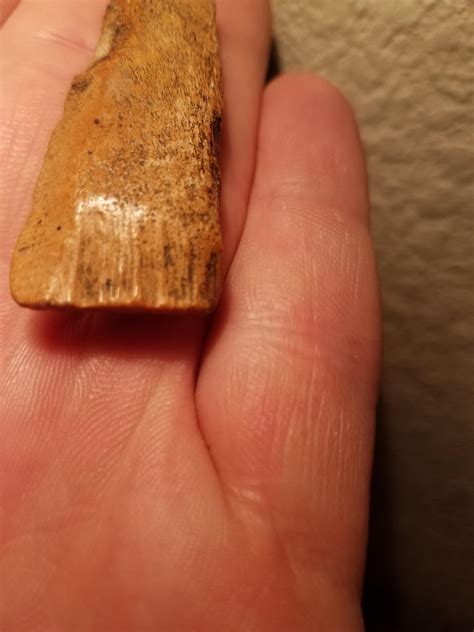 A keller tx resident found a rare artifact in their backyard 31