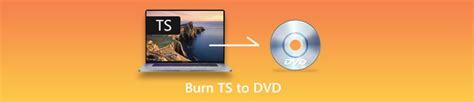 [3 Steps] How to Burn Video _TS File to DVD on Mac/Windows 10