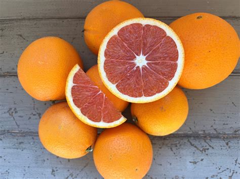 oranges statins  leo salier blog