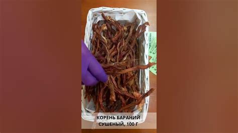 Корень бараний сушеный - YouTube