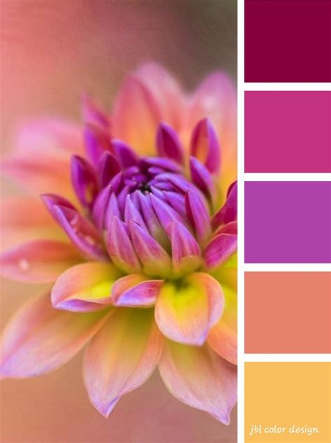 Pin by Jenifer B. Lybrand on Color Pallettes | Color palette bright ...