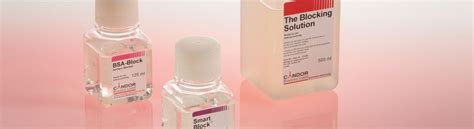 blocking buffer bsa recipe deporecipeco