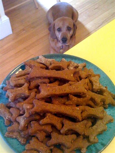 Mostly Organic Homemade Dog Biscuits | Recipe | Dog biscuits homemade ...