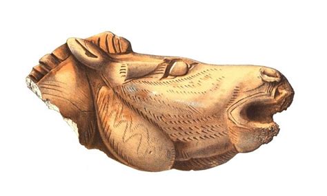 edouard piette   biographical dictionary   history