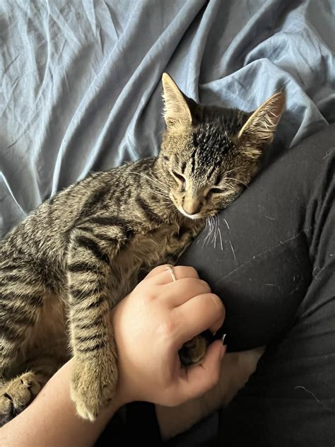 Larkin Love on Twitter: "On my way. https://t.co/uaMcpyoHZH" / Twitter