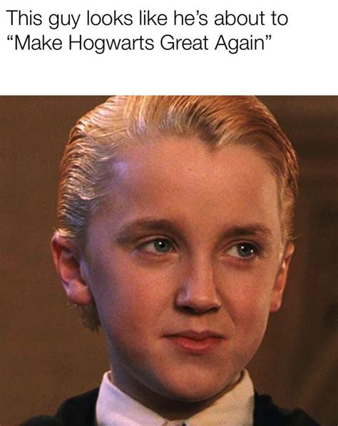 Love Draco Malfoy Memes