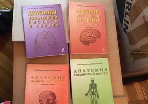 Анатомия методички Гайворонский купить | Хобби | Festima.Ru – частные ...