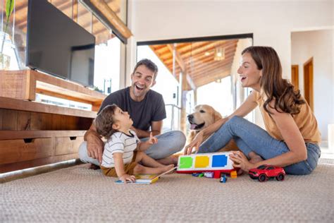 Baby Animals Playing Photos and Premium High Res Pictures - Getty Images