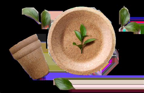 disposable cutlery  biodegradable   agro waste