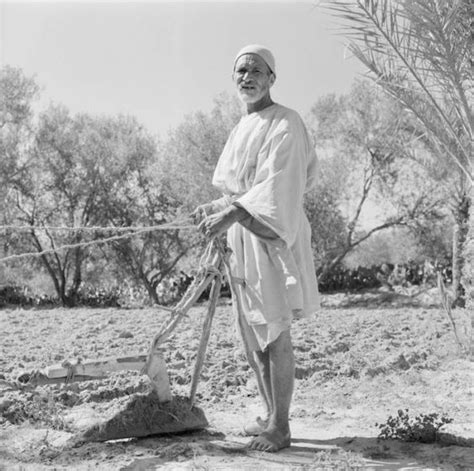 fertile crescent feasts  history