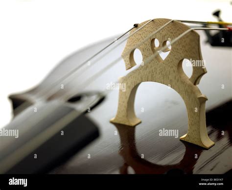 cello bridge and strings Stock Photo - Alamy